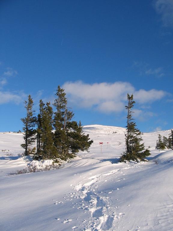 Hotel Valadalens Fjallstation Valadalen