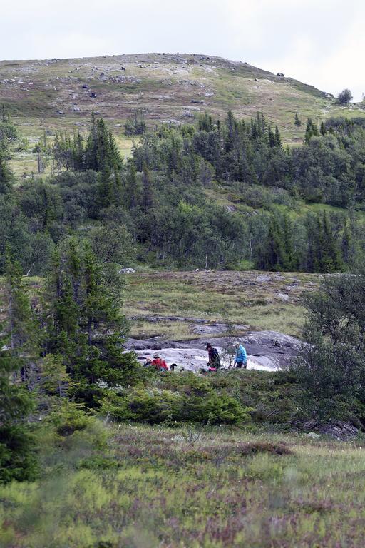 Hotel Valadalens Fjallstation 2*